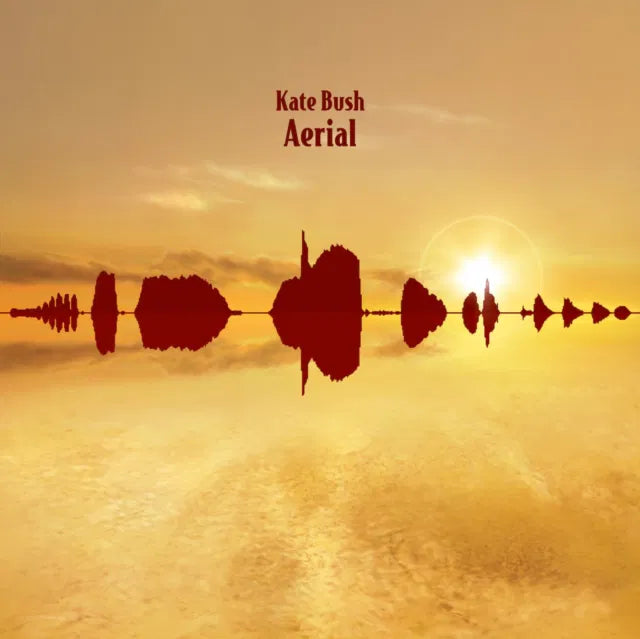 Aerial - 2018 Remaster 2x Vinyl LP