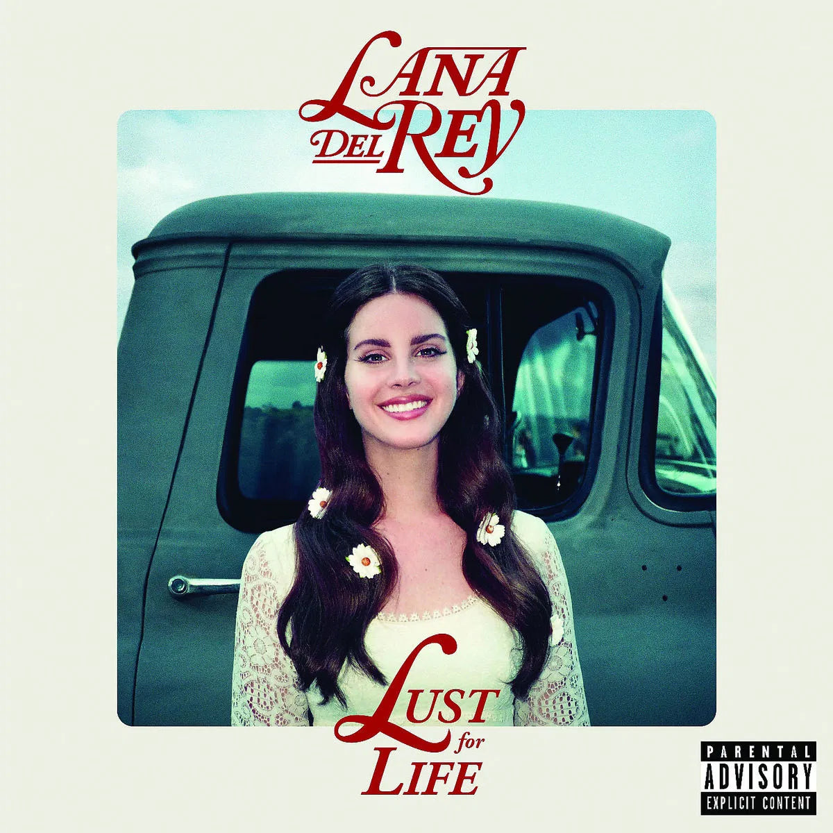Lust For Life - 2x Vinyl LP