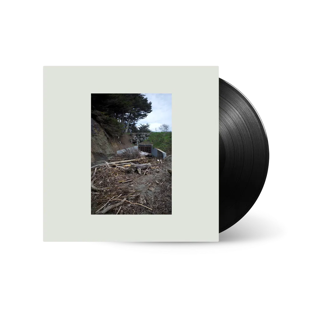 Five Easy Hot Dogs - 1x Vinyl LP