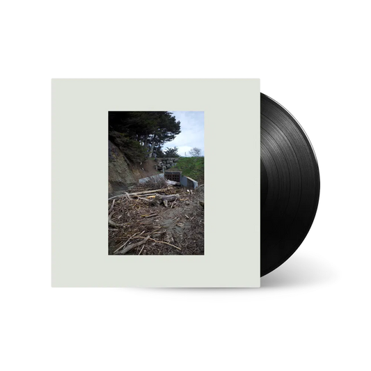 Five Easy Hot Dogs - 1x Vinyl LP