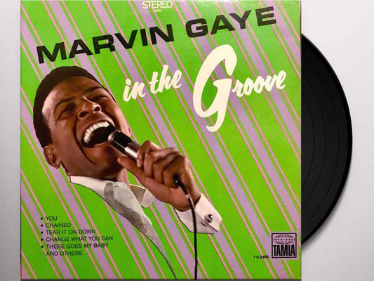 In The Groove - 1x Vinyl LP