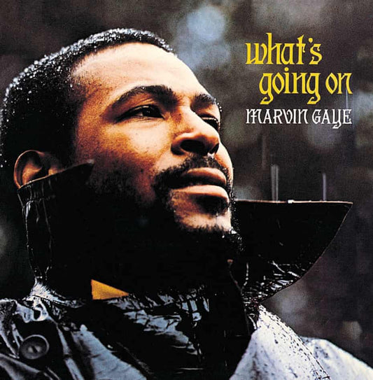 What's Going On Deluxe Edition 2LP