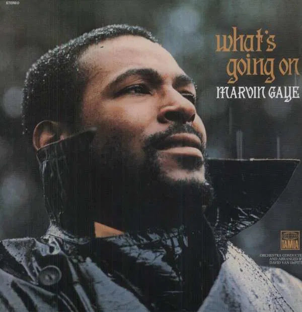 What's Going On - 1x Vinyl LP