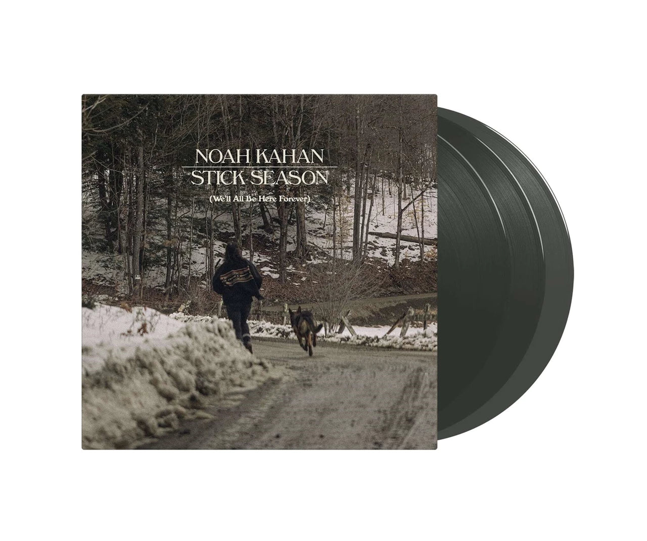 Stick Season (We'll All Be Here Forever) - 3x Vinyl LP