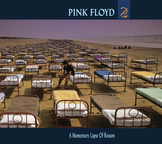A Momentary Lapse Of Reason - 1x Vinyl LP