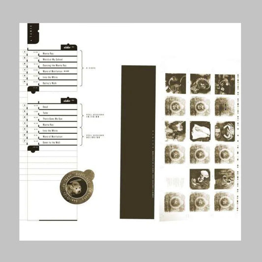 Doolittle 25: B Sides Peel Sessions & Demos (25th Anniversary Edition) - 3xLP