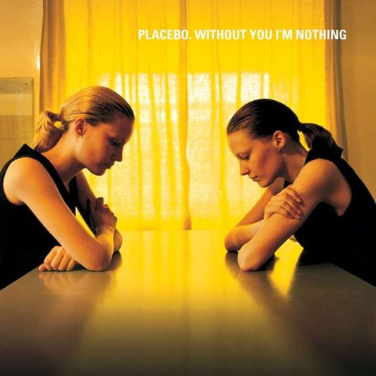 Without You I'm Nothing 1LP