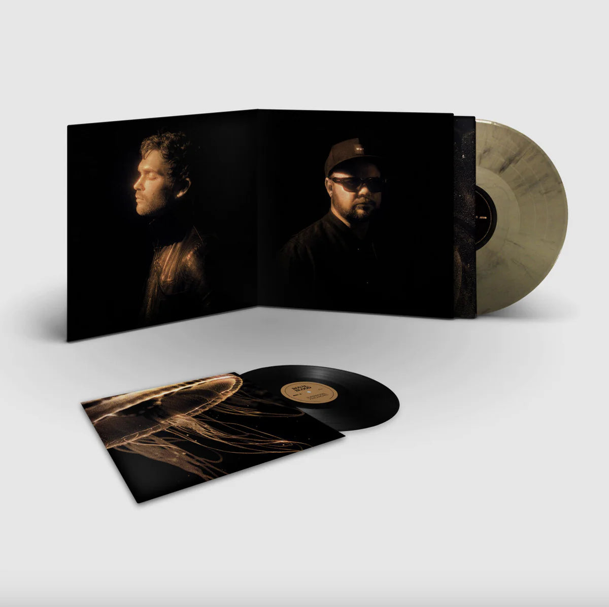 Back To The Water Below [Deluxe Edition Gold Marble 12" Vinyl] Vinyl LP + Vinyl 7"