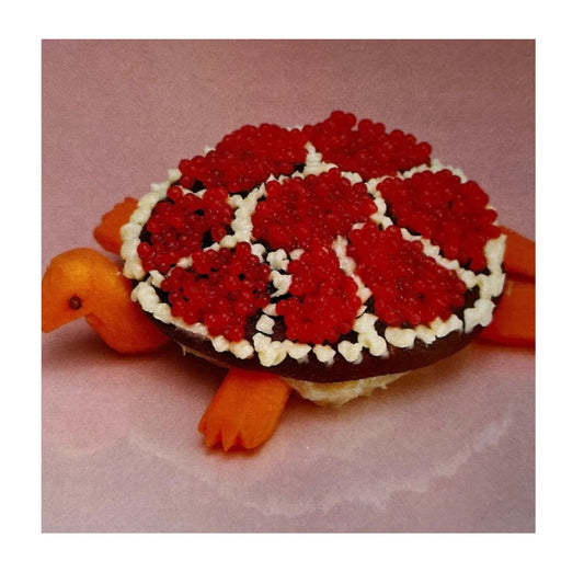 Turtle Rock - Vinyl LP
