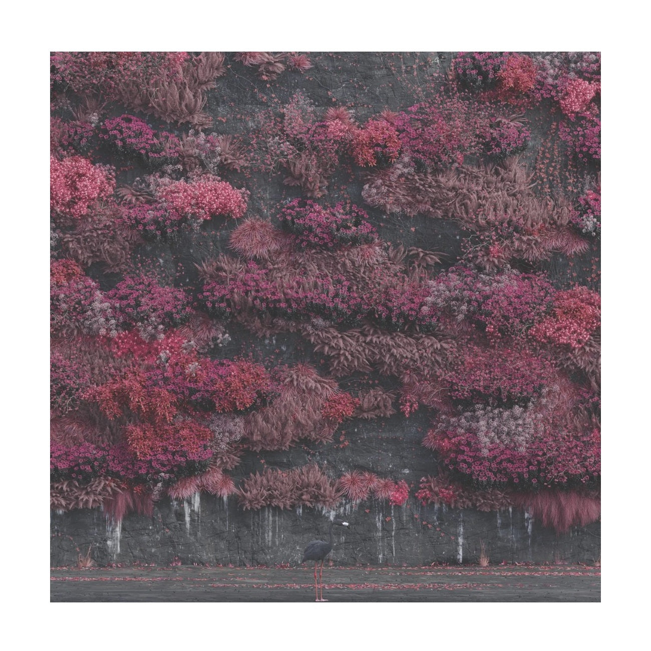 Even In Arcadia - 'Lapiz Lazuli' Vinyl 2xLP