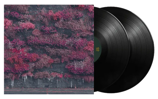 Even In Arcadia - 2x Vinyl LP