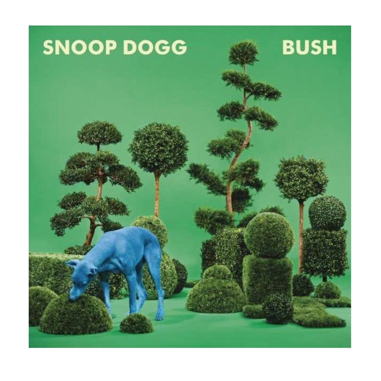 Bush - Limited Edition Blue Vinyl LP