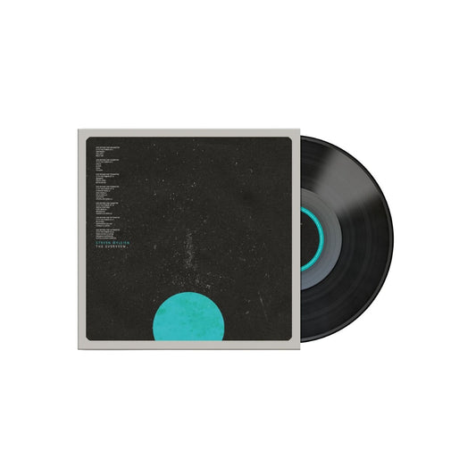 The Overview - Vinyl LP