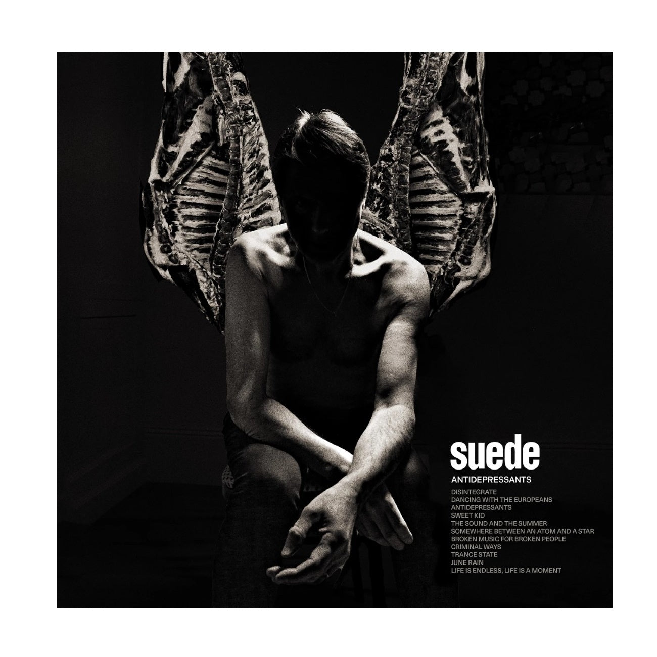 Antidepressants - Gatefold Vinyl LP