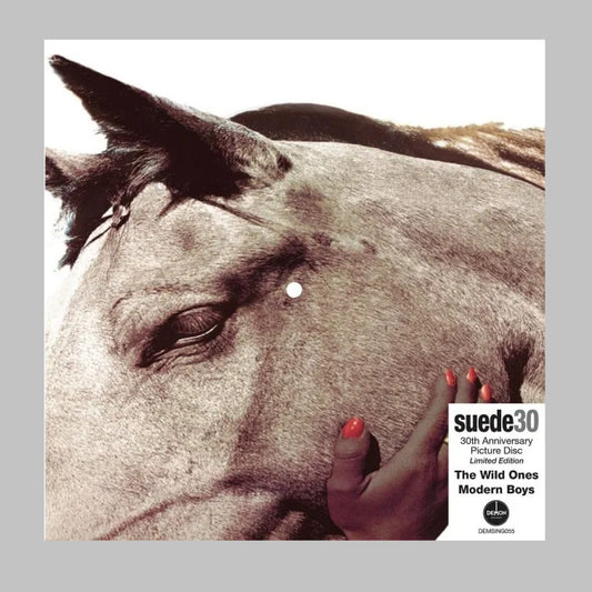 The Wild Ones - Picture Disc Vinyl Single