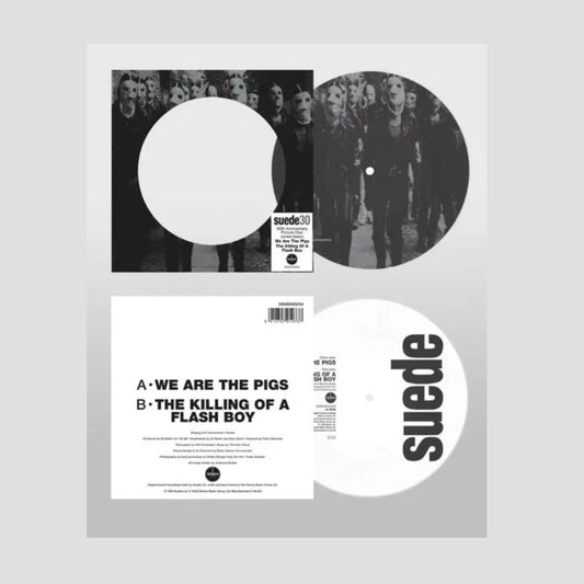 We Are The Pigs - Picture Disc Vinyl Single