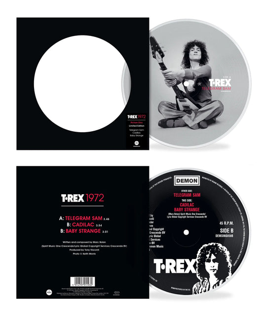 Telegram Sam - Limited Edition Picture Disc Vinyl Single