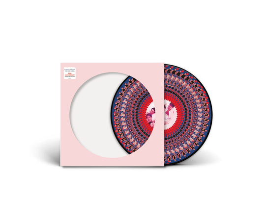 Everything Changes - 30th Anniversary Edition 1x Zoetrope Vinyl LP