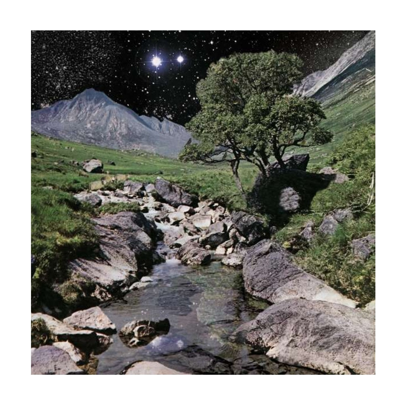 The Beta Band - Gatefold 2xLP + CD