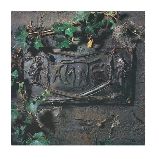 The Black Album - 2xLP