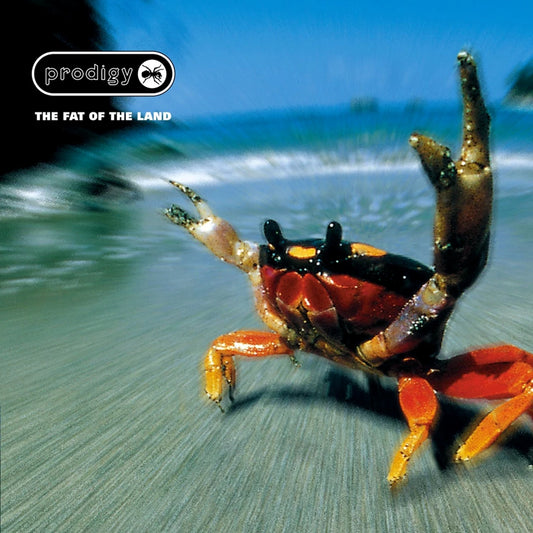 Fat Of The Land 2LP