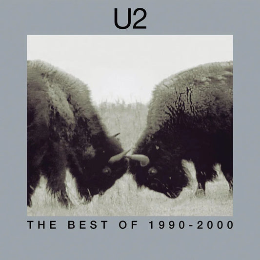 The Best Of 1990-2000 (remastered) - 2xLP